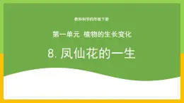 教科版科学四下 1.8 《凤仙花的一生》课件+教学设计（教学反思）+素材