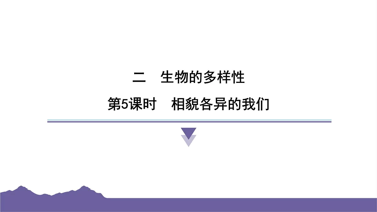 教科版(2017)科学六年级下册 2.5 相貌各异的我们(习题课件)第1页
