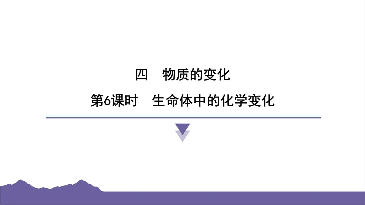 教科版(2017)科学六年级下册 4.6 生命体中的化学变化(习题课件)第1页