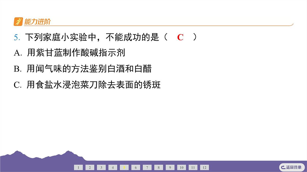 教科版(2017)科学六年级下册 4.7 美丽的化学变化(习题课件)第5页