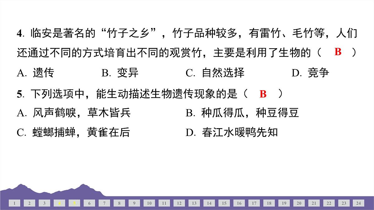 教科版(2017)科学六年级下册 期中测试(二)(习题课件)第5页