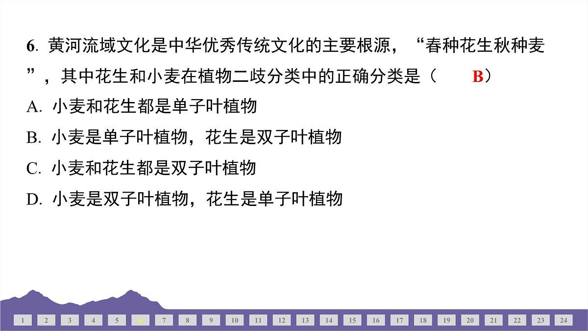 教科版(2017)科学六年级下册 期中测试(二)(习题课件)第6页