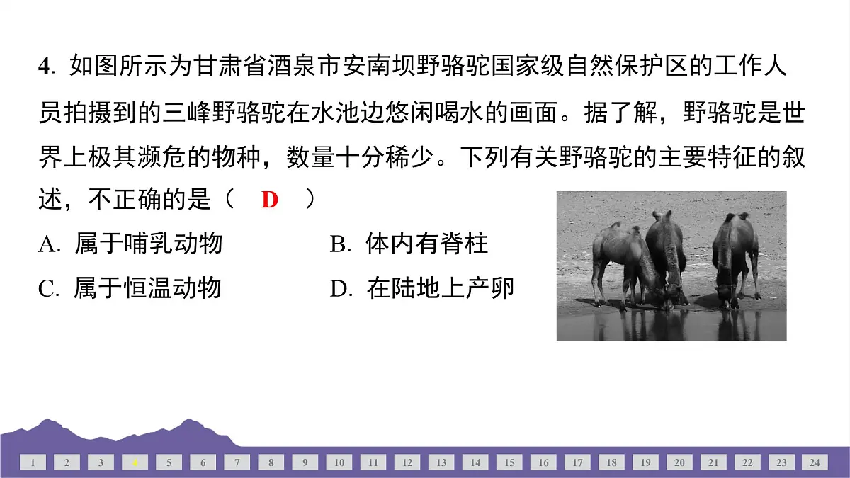 教科版(2017)科学六年级下册 期末测试(一)(习题课件)第5页
