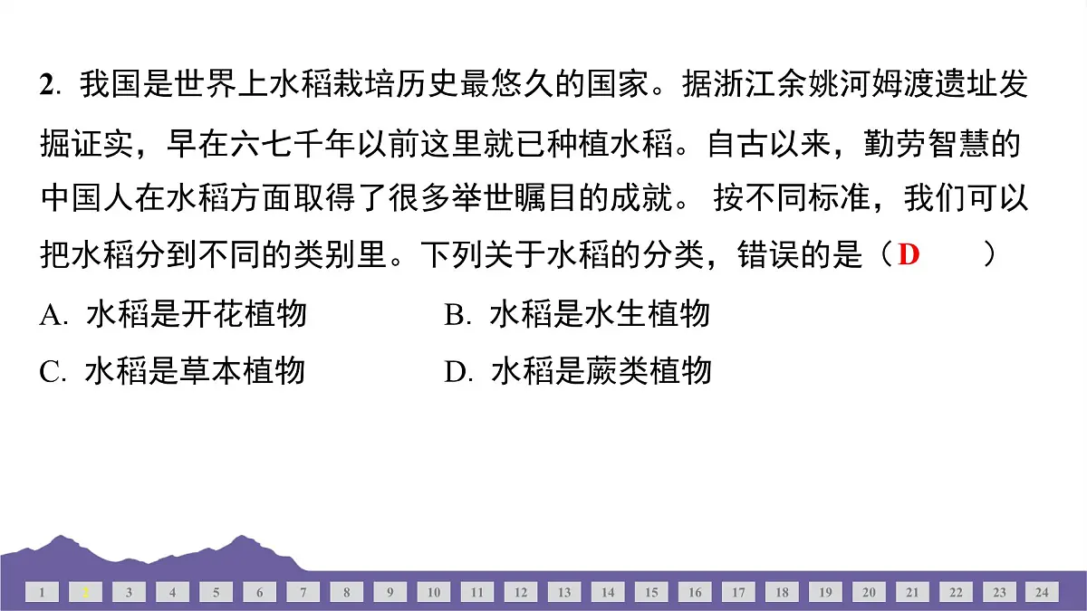 教科版(2017)科学六年级下册 期末测试(三)(习题课件)第3页
