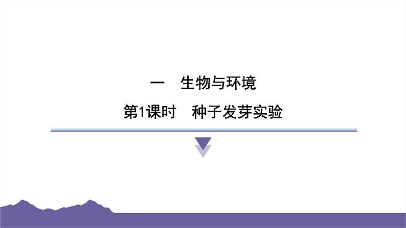 教科版(2017)科学五年级下册 1.1 种子发芽实验(习题课件)第1页