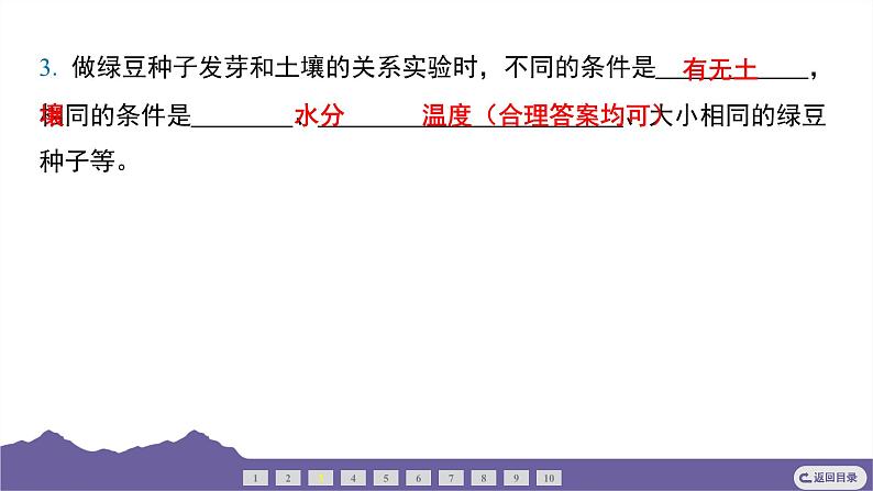 教科版(2017)科学五年级下册 1.1 种子发芽实验(习题课件)第4页