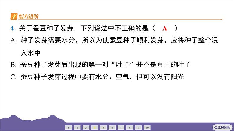 教科版(2017)科学五年级下册 1.1 种子发芽实验(习题课件)第5页