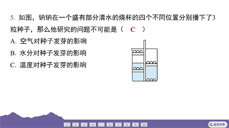 教科版(2017)科学五年级下册 1.1 种子发芽实验(习题课件)第6页
