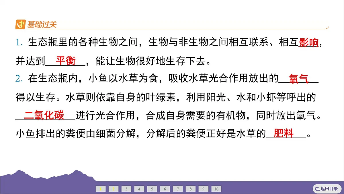 教科版(2017)科学五年级下册 1.7 设计和制作生态瓶(习题课件)第3页