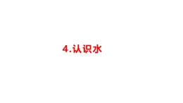 小学科学新湘科版一年级下册第二单元第四课《认识水》教学课件（2025春）