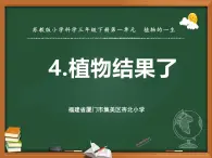 苏教版三年级科学下册第一单元第4课《植物结果了》课件