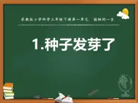 苏教版三年级科学下册第一单元第1课《种子发芽了》第一课时教案及课件