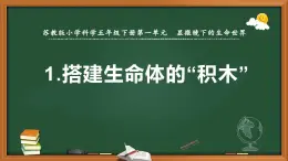 蘇教版五年級科學下冊第一單元第1課《搭建生命體的“積木”》教案及課件