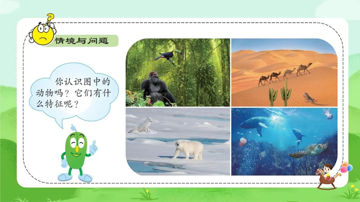 【核心素养】冀人版小学科学一年级下册 3 认识植物和动物 课件第4页