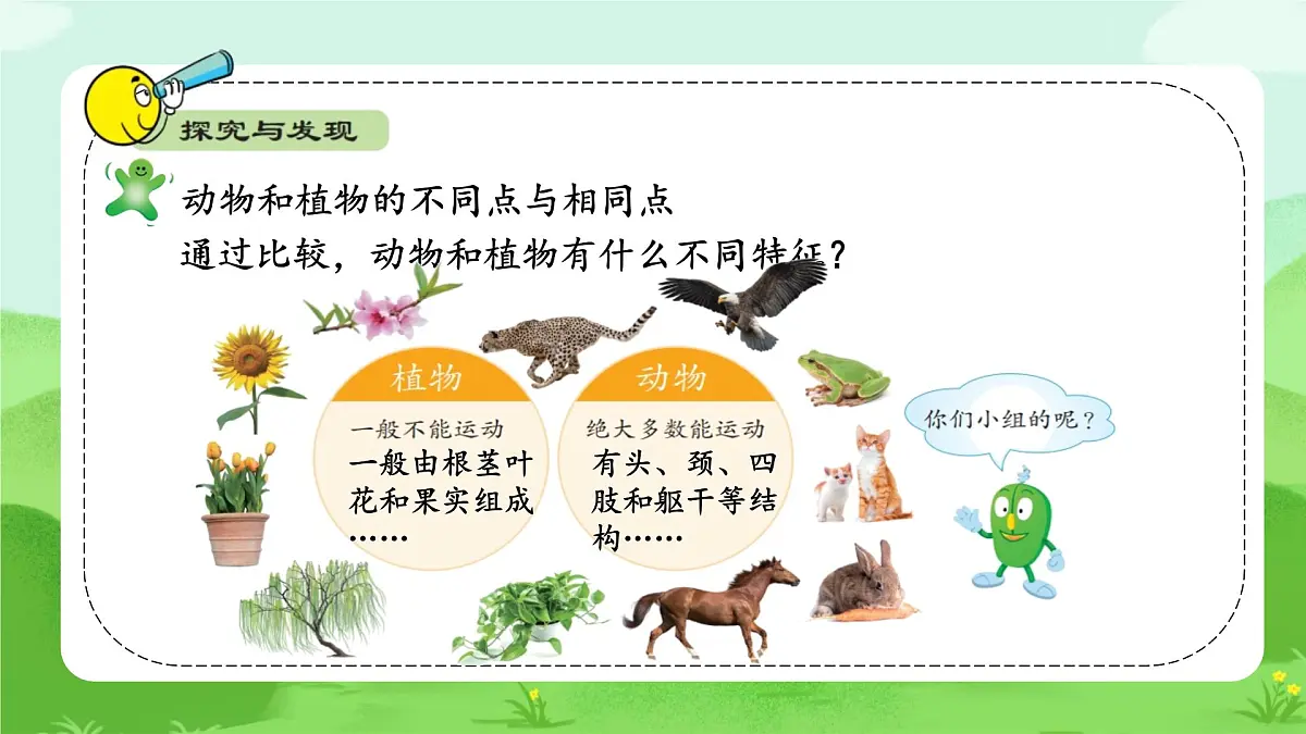 【核心素养】冀人版小学科学一年级下册 3 认识植物和动物 课件第6页