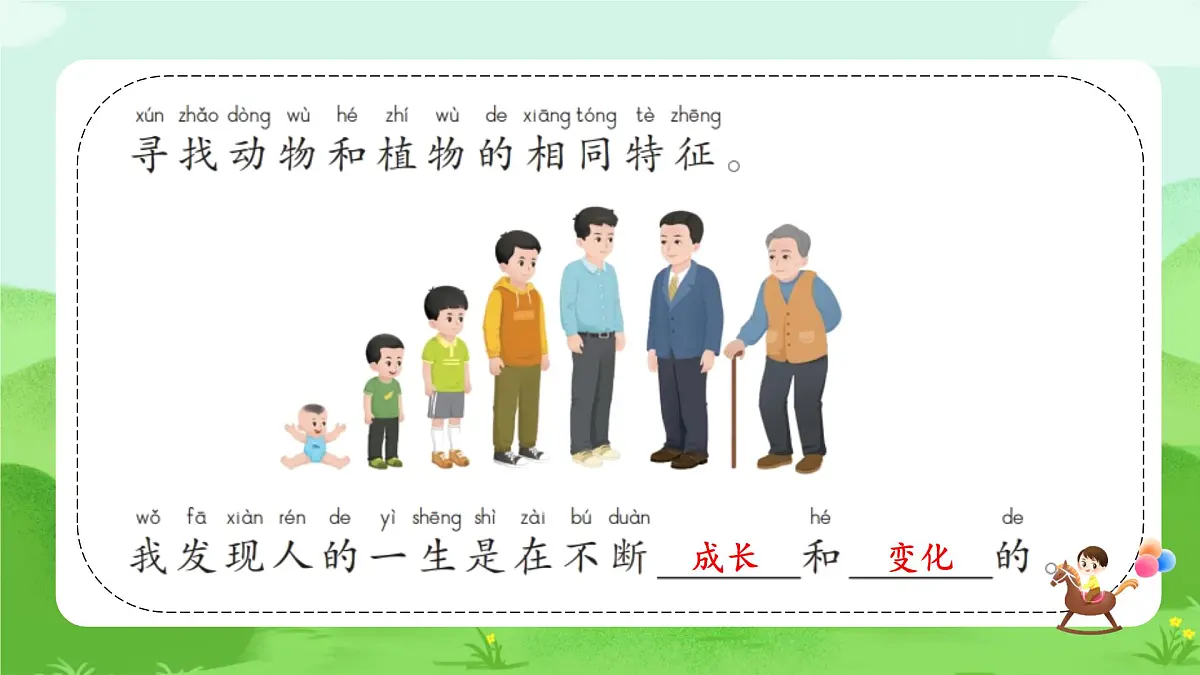 【核心素养】冀人版小学科学一年级下册 3 认识植物和动物 课件第7页