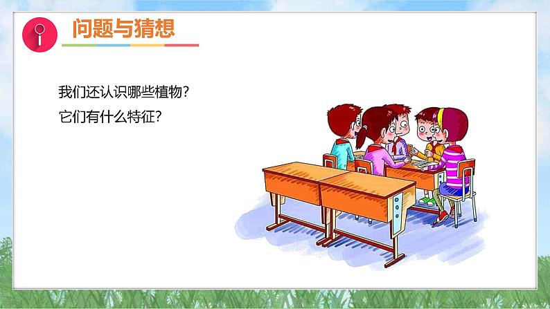 3-2《常见植物的特征》(课件)2024大象版科学一年级下册第4页