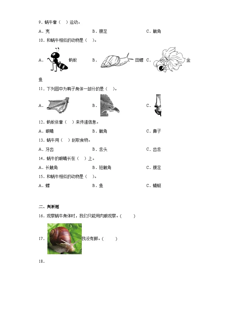 第2.2课 观察一种动物(同步练习)新教材教科版一年级下册第2页