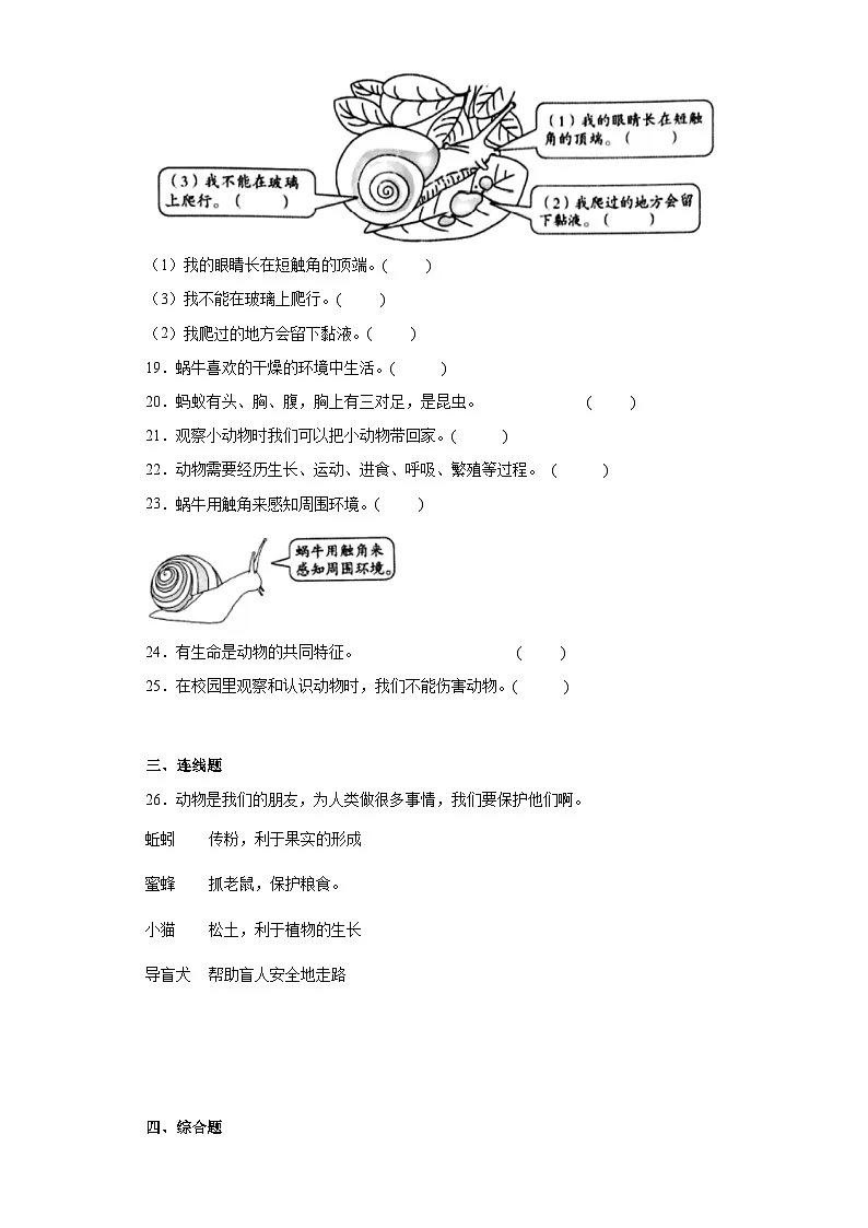 第2.2课 观察一种动物(同步练习)新教材教科版一年级下册第3页