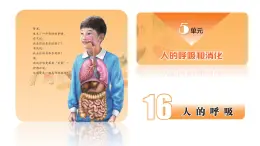 蘇教版三年級科學(xué)上冊3.16人的呼吸課件