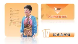 蘇教版三年級科學(xué)上冊3.17運(yùn)動和呼吸課件