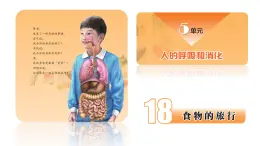 蘇教版三年級科學(xué)上冊3.18食物的旅行課件