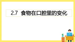 2.7《食物在口腔里的變化》課件+教案（教科版科學(xué)四年級上冊）