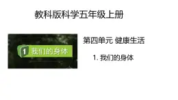4.1《我們的身體》課件+教案（教科版科學(xué)五年級(jí)上冊(cè)）
