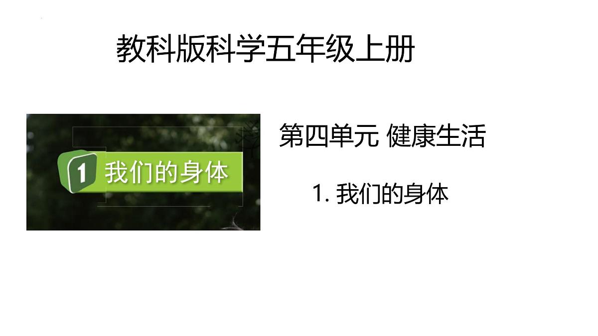 第4.1课 我们的身体(教学课件)五年级科学上册系列(教科版)第1页