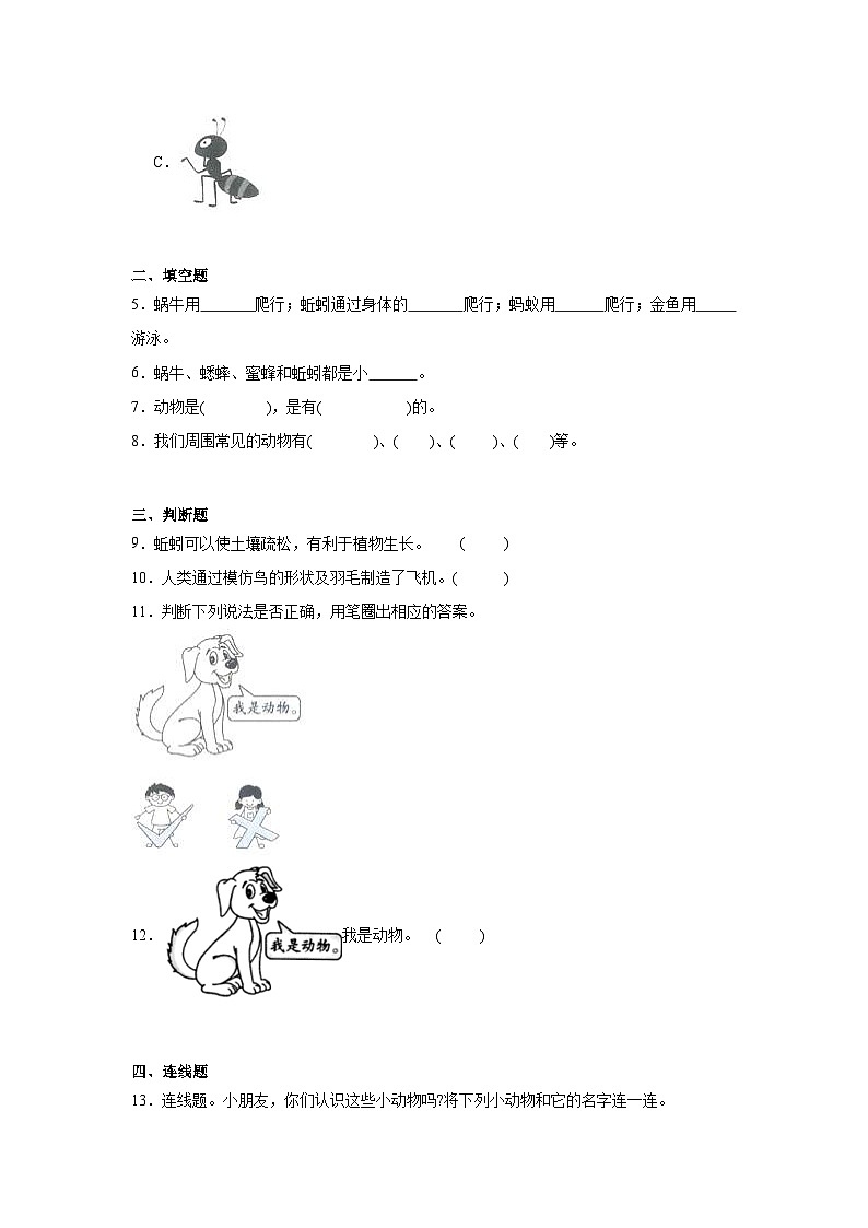 1.《我们周围的动物》作业第2页