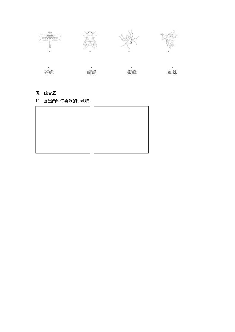 1.《我们周围的动物》作业第3页
