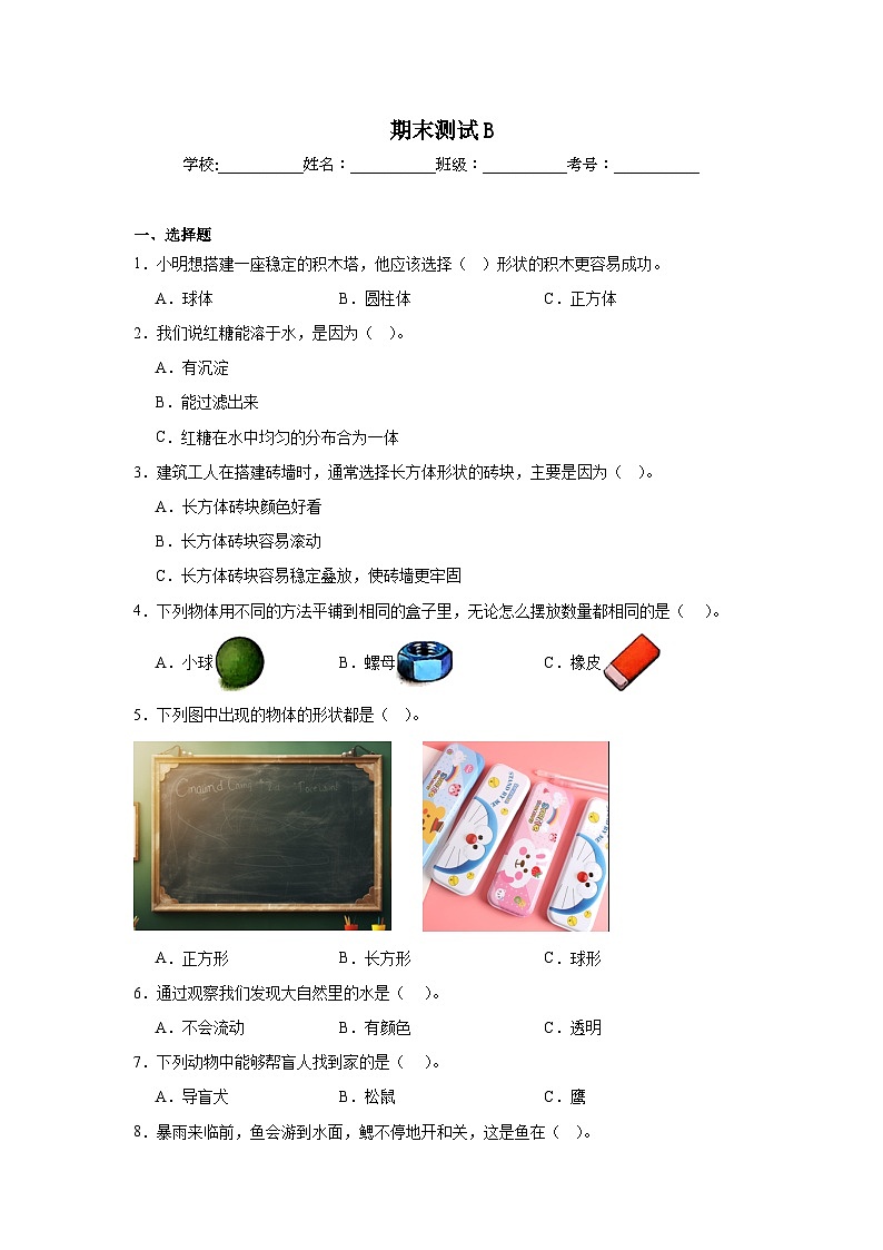 教科版2024年一年级下册期末测试B第1页