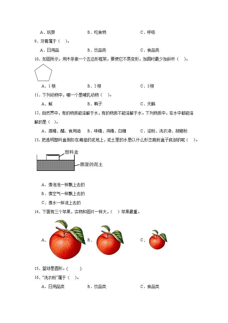 教科版2024年一年级下册期末测试B第2页