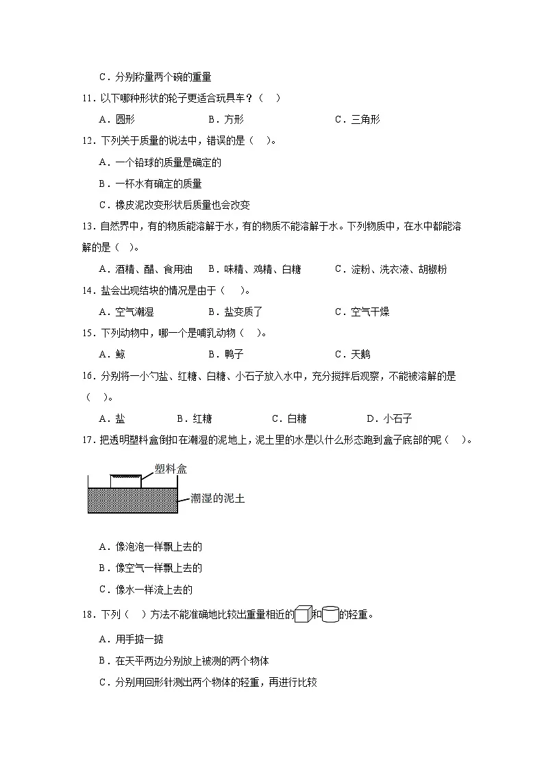 教科版科学2024年一年级下册期末测试A第2页