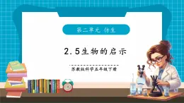 【核心素養(yǎng)優(yōu)質課】蘇教版科學五年級下冊2.5《生物的啟示》教學課件+同步教案+大單元教學設計+素材