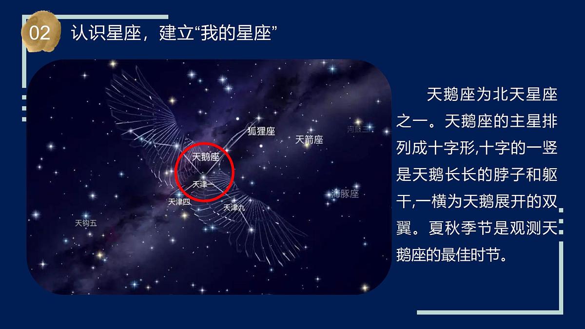 第12课 观察星空(教学课件)六年级科学上册(苏教版)第8页