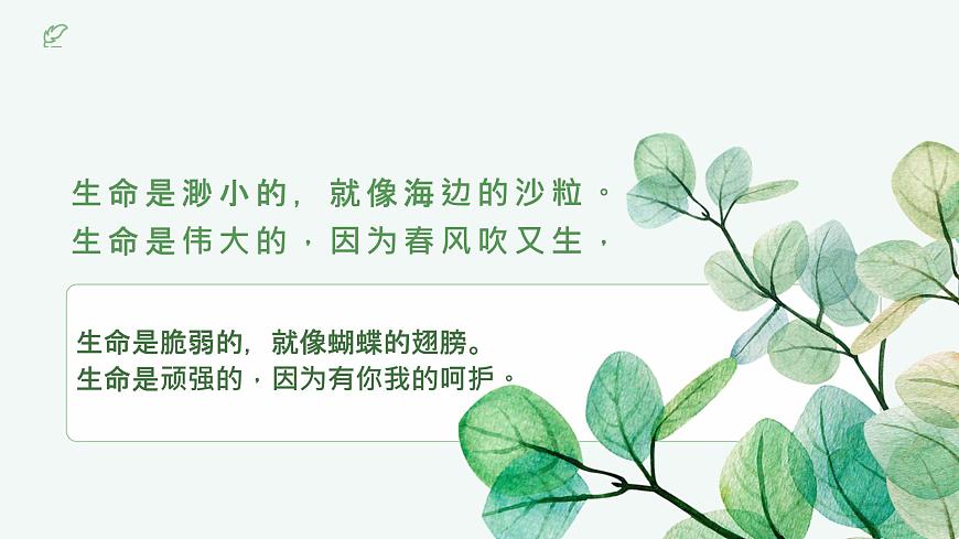 一年級下冊科學(xué)冀人版《關(guān)愛行動》課件第4頁