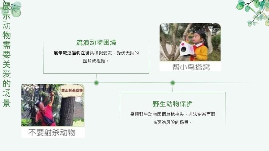 一年級下冊科學(xué)冀人版《關(guān)愛行動》課件第6頁