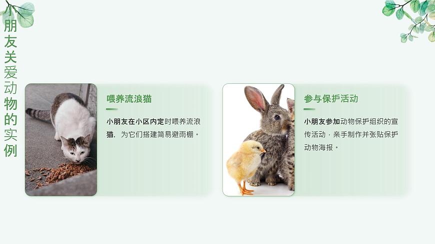 一年級下冊科學(xué)冀人版《關(guān)愛行動》課件第7頁