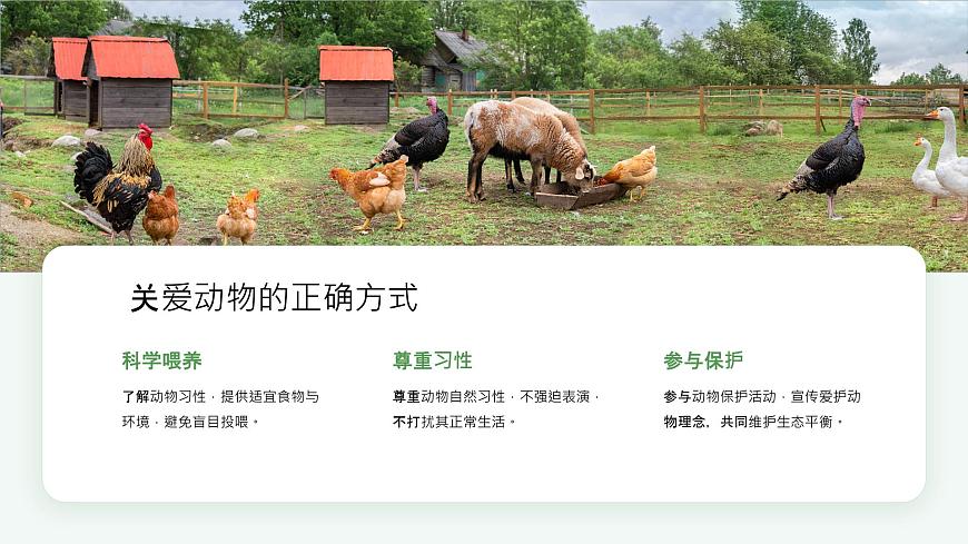 一年級下冊科學(xué)冀人版《關(guān)愛行動》課件第8頁