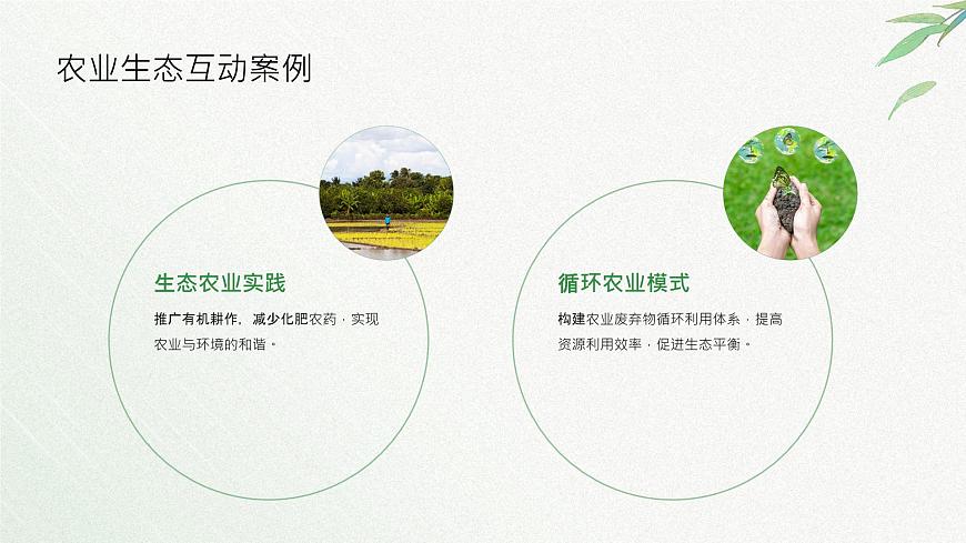 冀人版一年級科學(xué)下冊11和諧共生課件第6頁