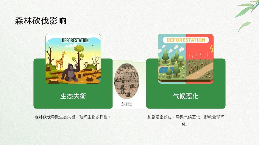 冀人版一年級科學(xué)下冊11和諧共生課件第7頁