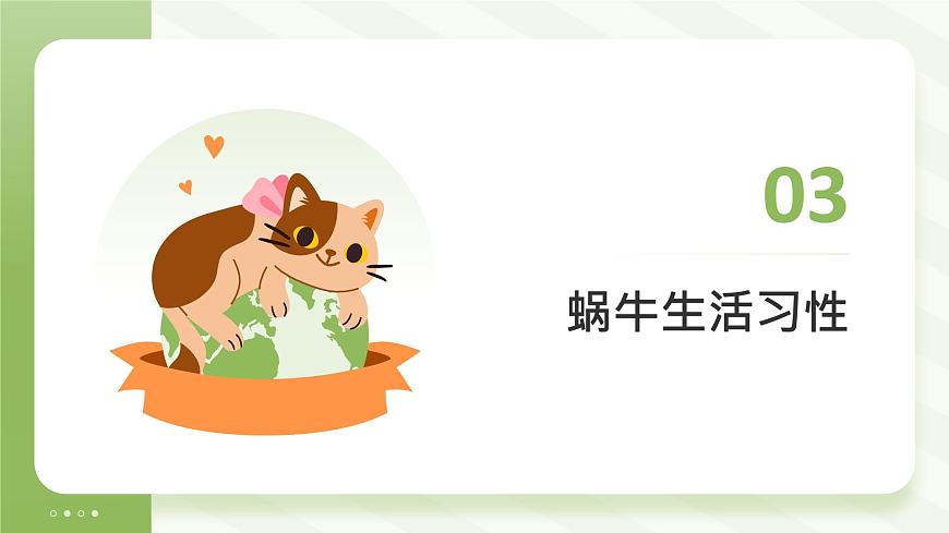 冀人版一年級科學(xué)下冊《給蝸牛建個小小的家》課件第7頁