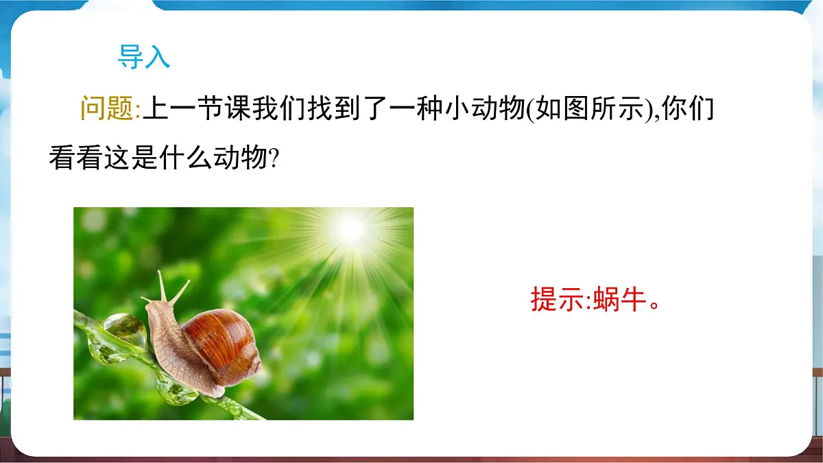 教科版(2024)科学一年级下册 2.2 观察一种动物(课件)第2页