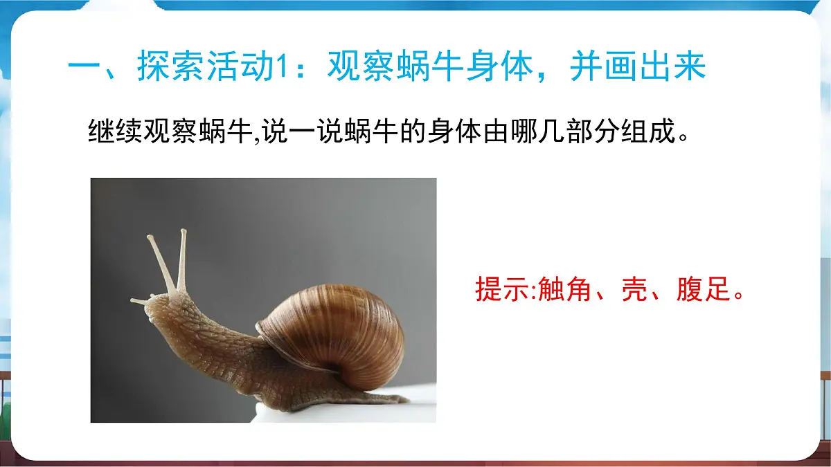 教科版(2024)科学一年级下册 2.2 观察一种动物(课件)第5页