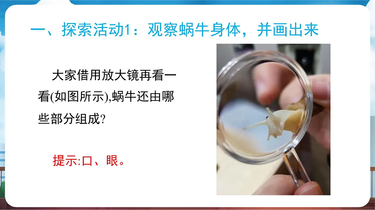 教科版(2024)科学一年级下册 2.2 观察一种动物(课件)第6页