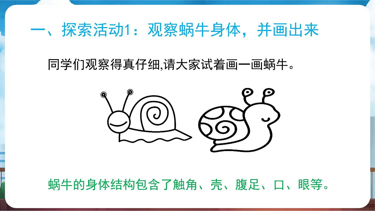 教科版(2024)科学一年级下册 2.2 观察一种动物(课件)第7页