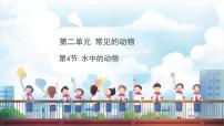 教科版（2024）一年级下册（2024）4.水中的动物说课课件ppt
