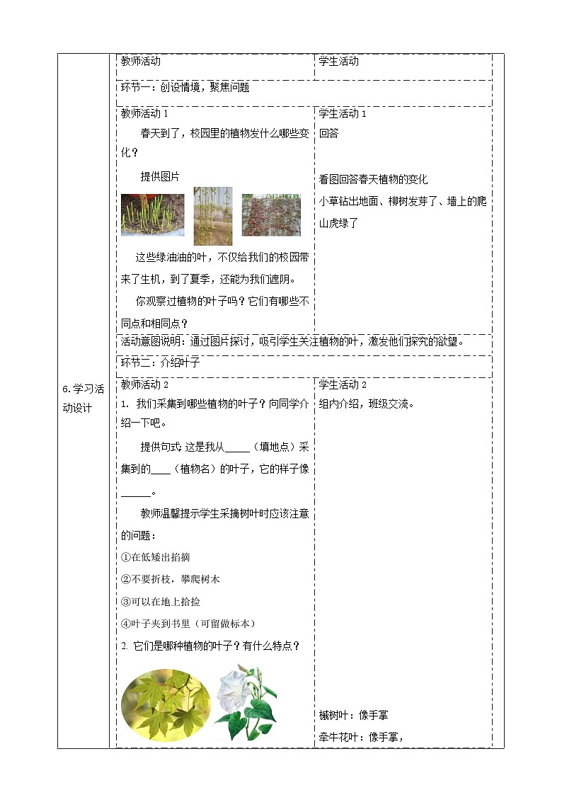 【大单元整体教学2.4《各种各样的叶》课时教案第2页