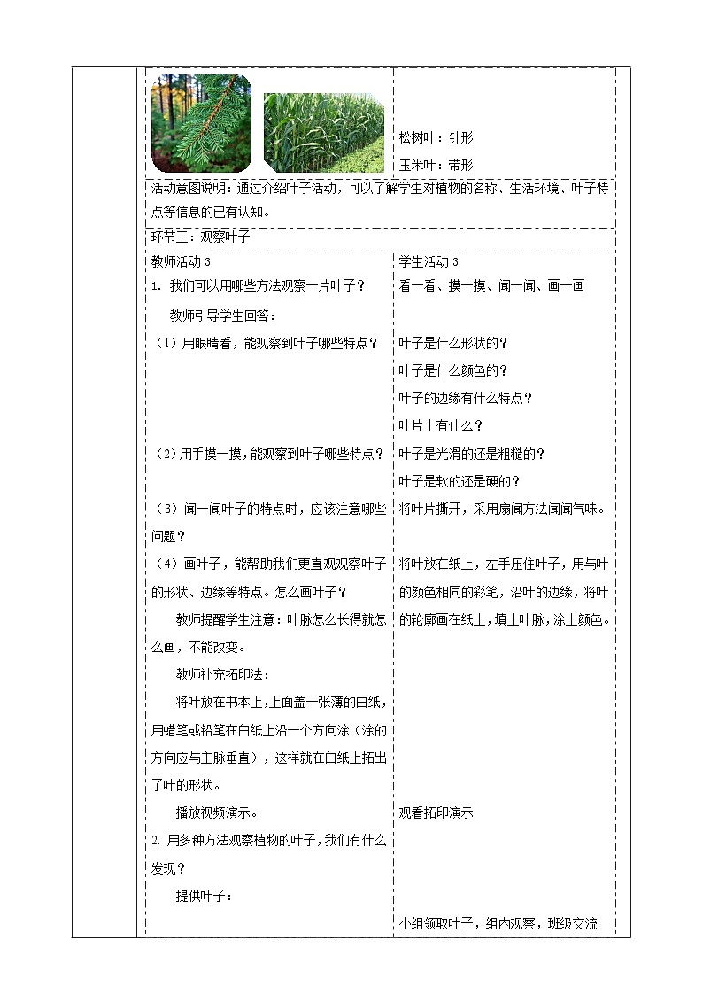 【大单元整体教学2.4《各种各样的叶》课时教案第3页